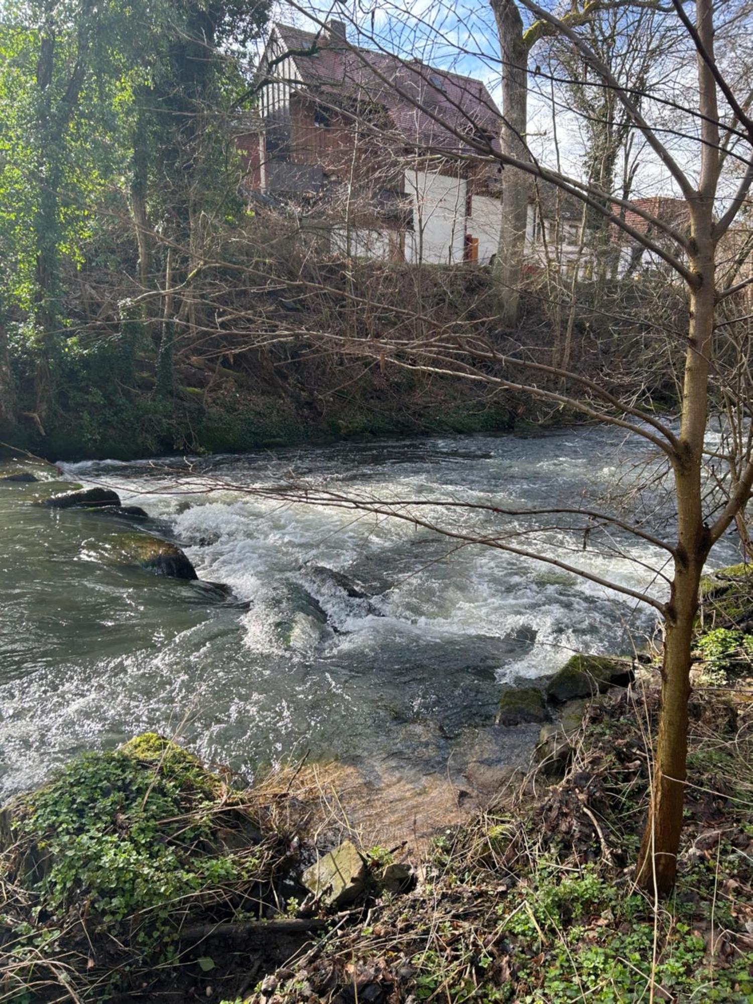 Villa Am Fluss Pforzheim Buitenkant foto