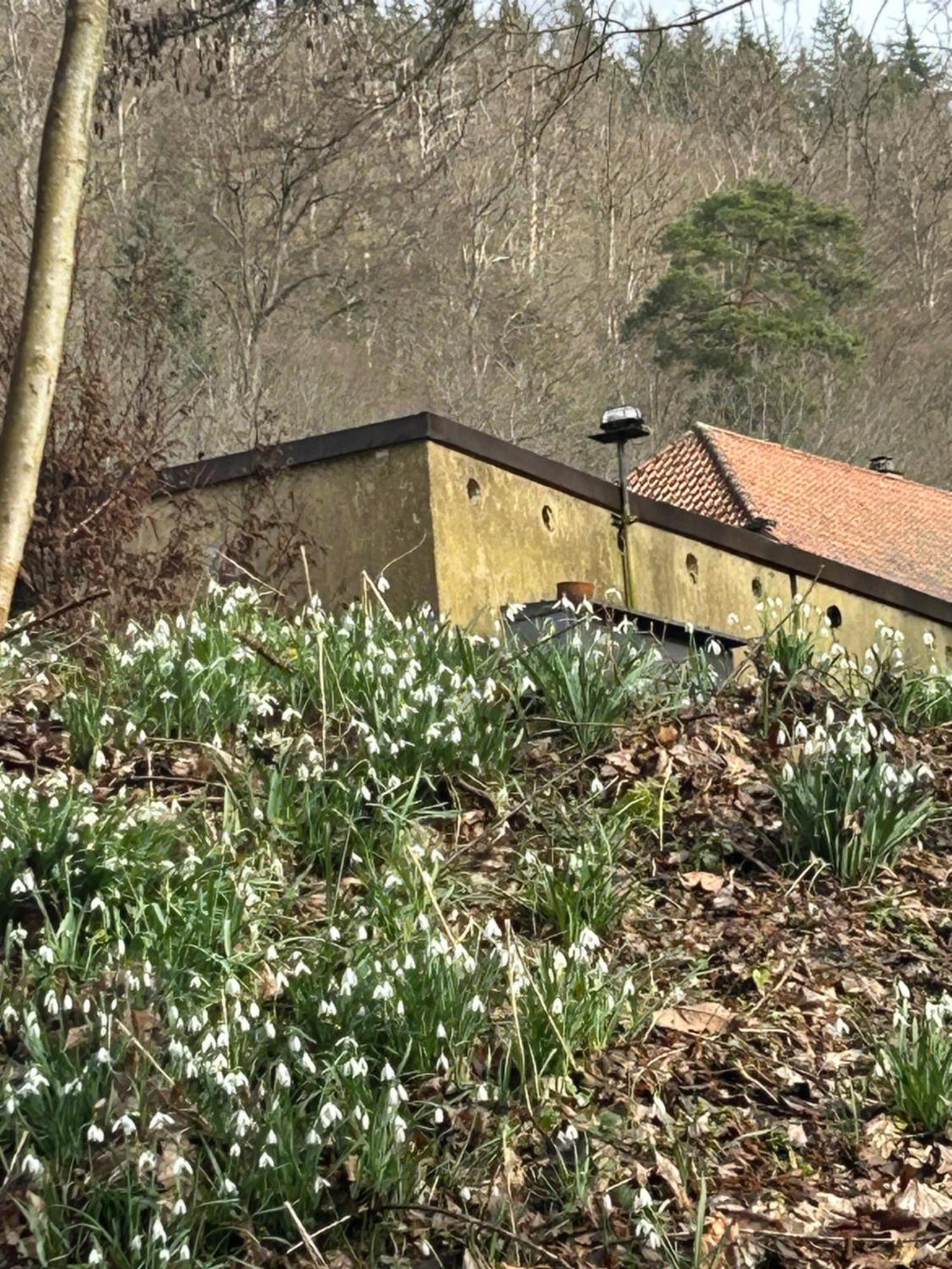 Villa Am Fluss Pforzheim Buitenkant foto