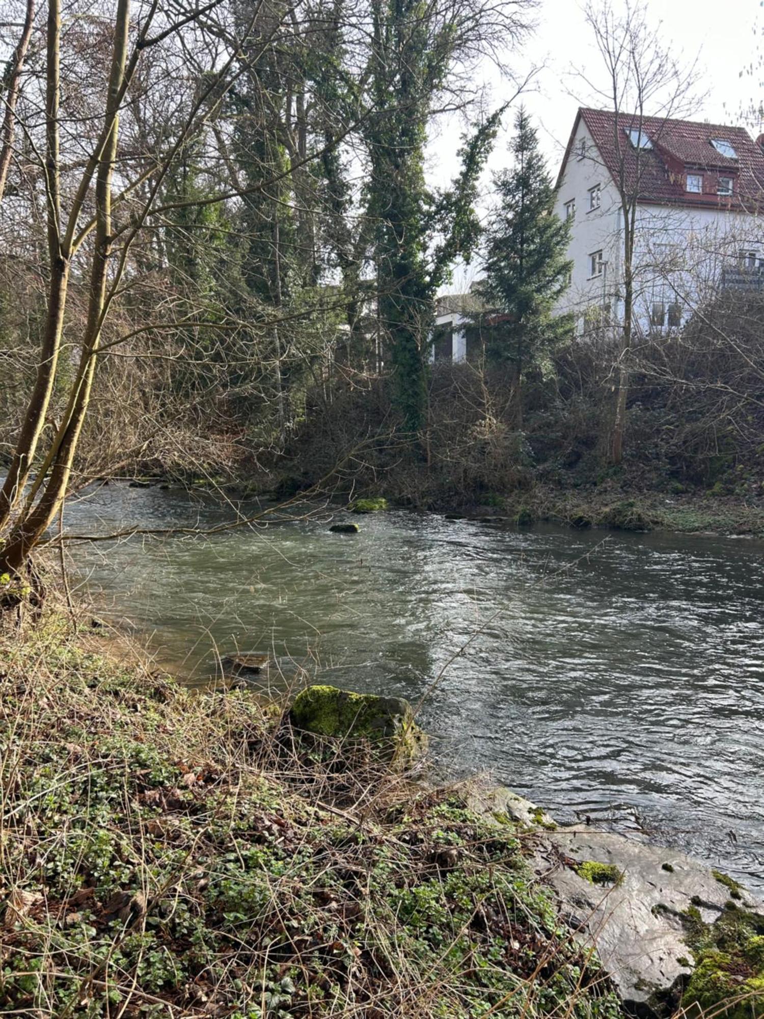 Villa Am Fluss Pforzheim Buitenkant foto
