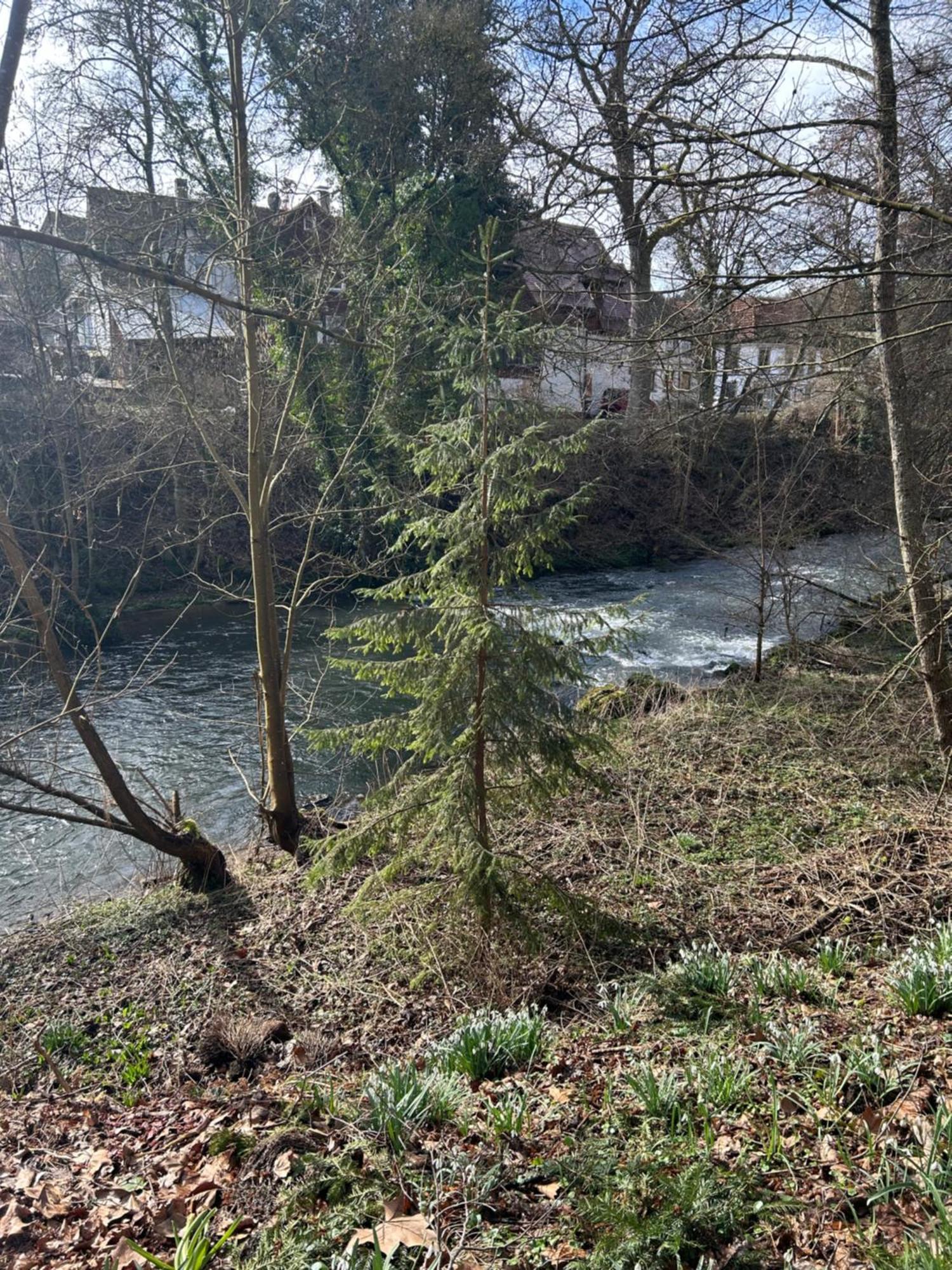 Villa Am Fluss Pforzheim Buitenkant foto