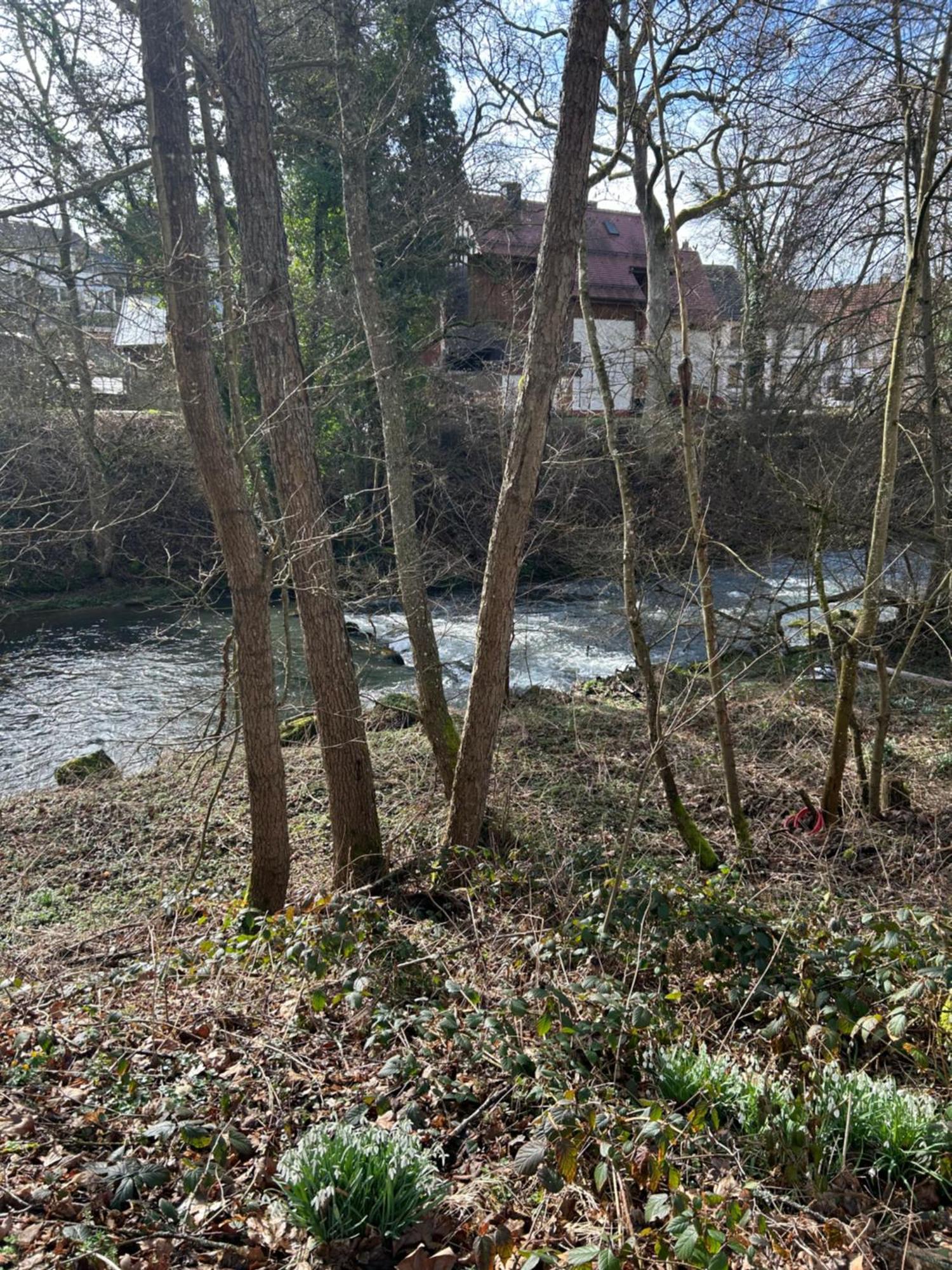 Villa Am Fluss Pforzheim Buitenkant foto